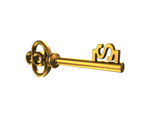 istock Gold treasure key in dollar shape, 3D rendering 585507228