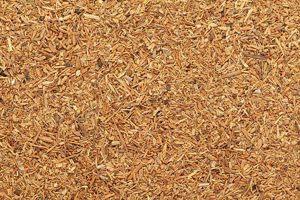 istock Organic grated Himalayan cedar (Cedrus deodara) in tea cut size 585508200