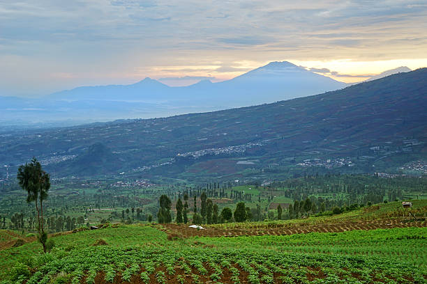 istock Farmland with mountain view 585509878