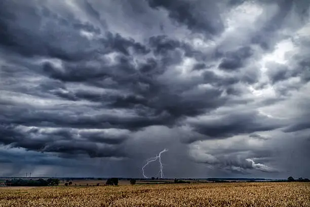 Photo of Storm over the wheat fields