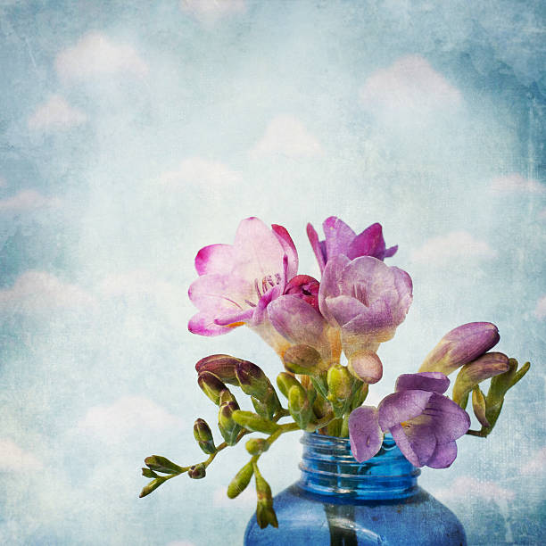 istock Vintage style, fresh freesia, spring flowers 585513162