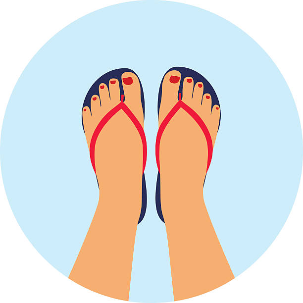 female feet with a pedicure in the summer flip-flops. Vector illustration female feet with a pedicure in the summer flip-flops. summer - concept background flat shoe stock illustrations