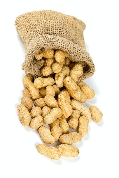istock peanuts in a miniature burlap bag isolated on white 585515812