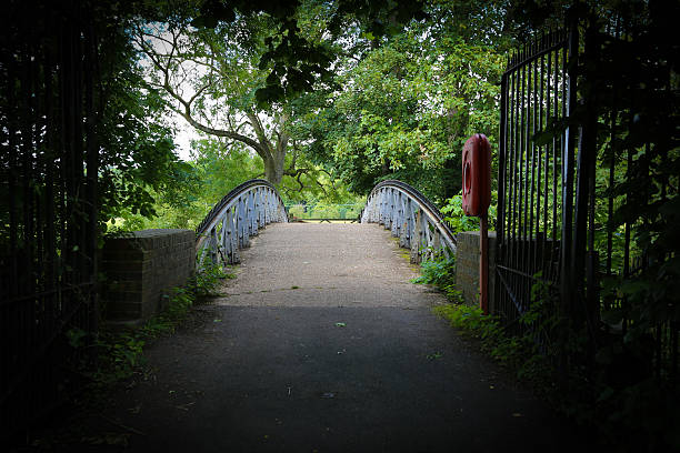 istock Moody old iron bridge surrounded by trees 585516884