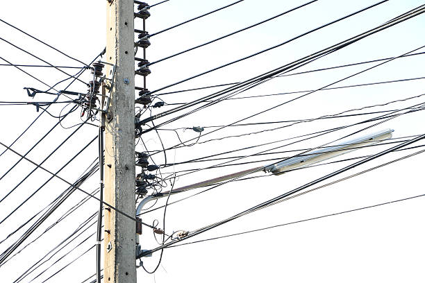 istock Electricity post and overgrown electricity line 585520162