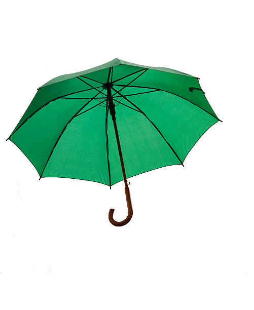 Green Umbrella on white background. Isolated umbrella
