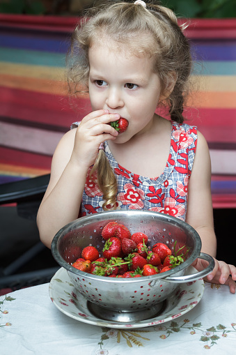Portrait of little girl is eating sweet red strawberry fruits from cullender