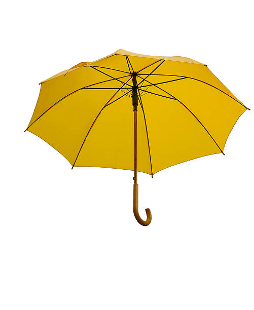istock Yellow Umbrella on white background. Isolated umbrella 585526076