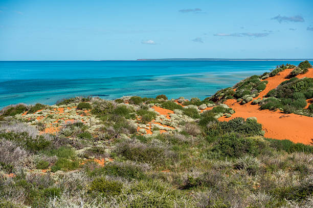 istock Australia northen territory landscape francois peron park 585582802