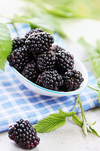 istock healthy food, blackberries 585585398