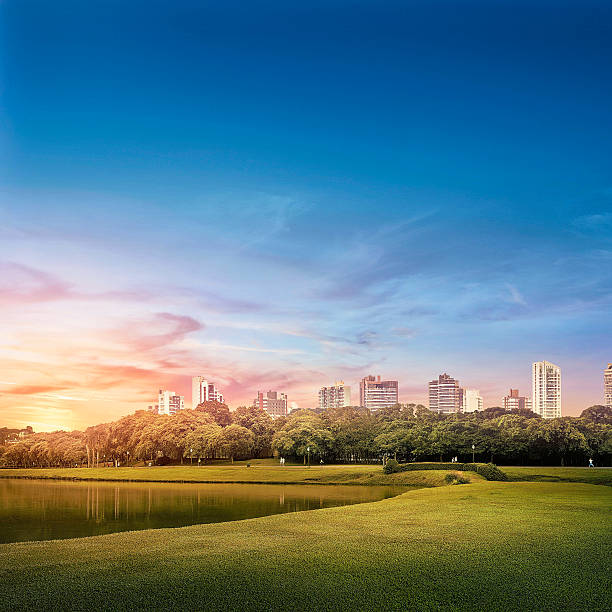 istock Barigui Park - Curitiba urban landscape 585585516