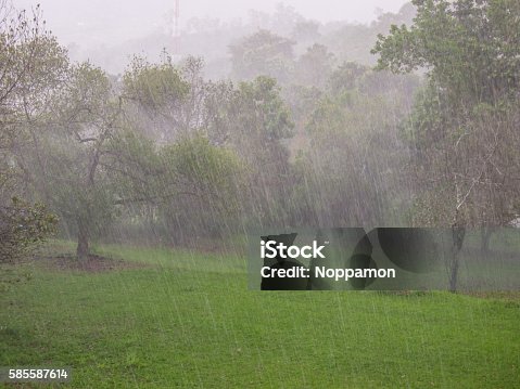 istock Rainy day 585587614