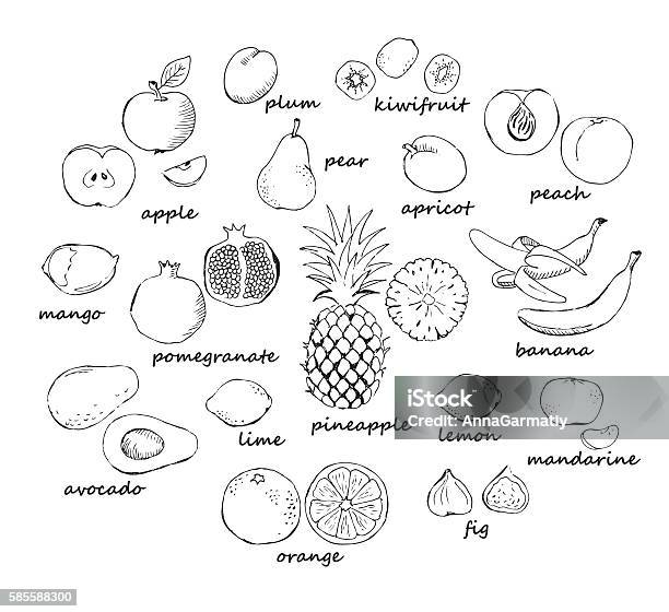 Ilustración de Conjunto De Frutas Y Garabatos y más Vectores Libres de Derechos de Manzana - Manzana, Dibujo, Blanco y negro