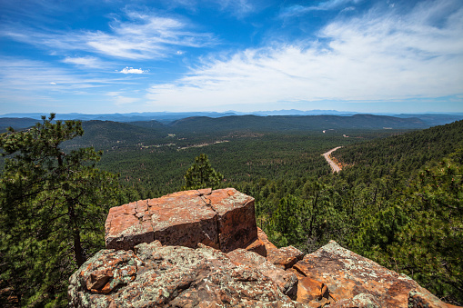 Ponderosa pine trees on the edge of the Mogollon Rim in Arizona in Sitgreaves National Forest