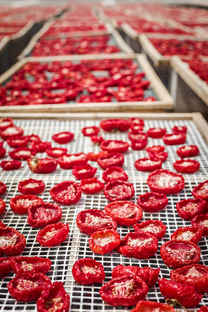 istock Sun dried tomatoes in Sicily 585588994
