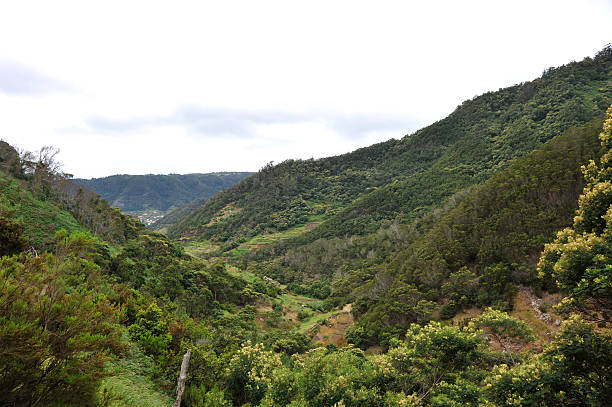 istock The valley between Machico and Boca do Risco - Madeira 585590092
