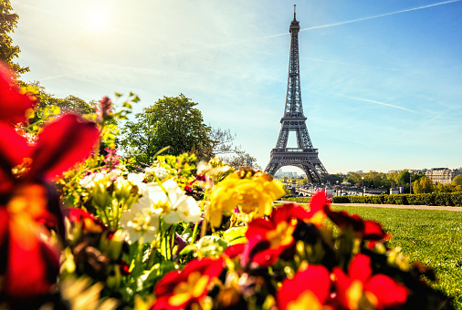 Eiffel tower with flowers in foreground