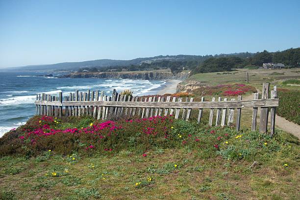 istock Coastline landscape with flowers and fence 585592652