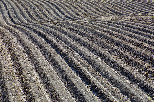 istock Agriculture brown mud soil field in a water flood 585593086