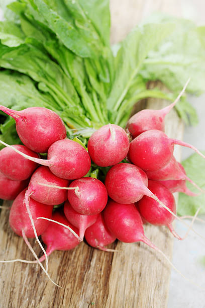 istock bunch of red radishes 585595108