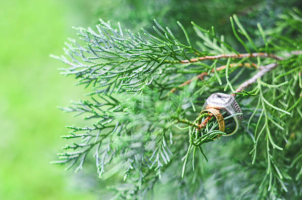 istock pair of wedding rings, hanging on tree 585595854