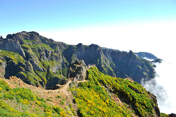 istock Between Pico do Arieiro and Pico Ruivo - Madeira 585595860