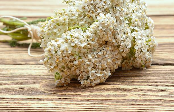 istock yarrow flowers on wooden background 585596002