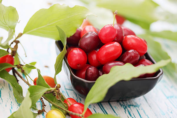 istock dogwood in a  bowl 585596150