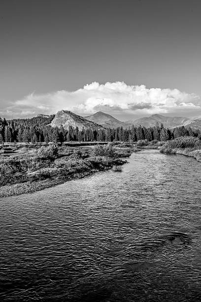 istock Tuolumne Meadows, Yosemite National Park, California 585596400