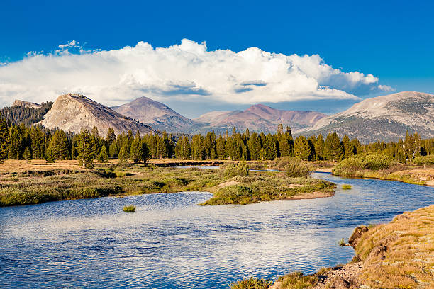 istock Tuolumne Meadows, Yosemite National Park, California 585596624