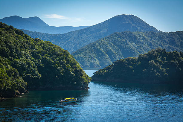 Marlborough Sounds seen from ferry from Wellington to Picton Marlborough Sounds seen from ferry from Wellington to Picton, New Zealand marlborough new zealand stock pictures, royalty-free photos & images