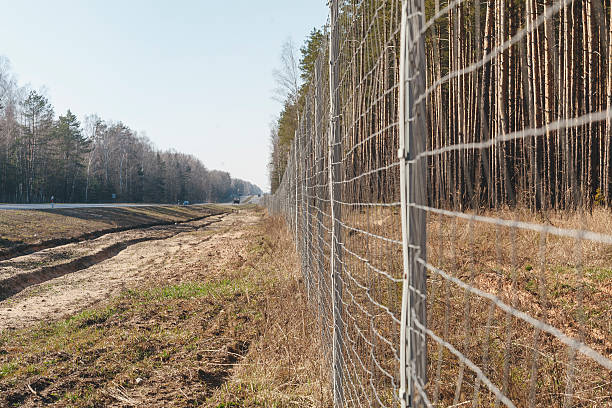 istock Protective mesh on the side of road from wild animals 585597090