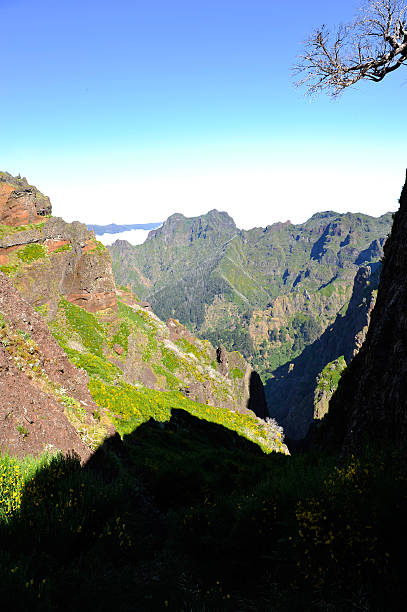 istock Between Pico do Arieiro and Pico Ruivo - Madeira 585597154