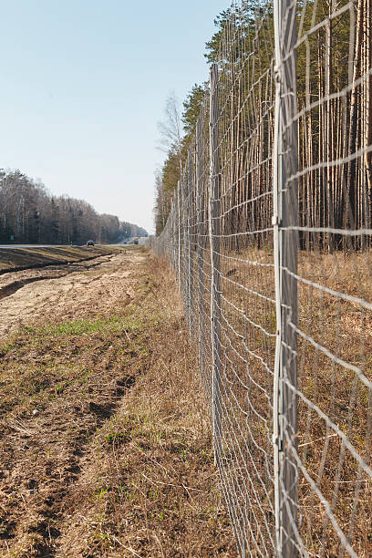 istock Protective mesh on the side of road from wild animals 585597204