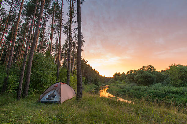 istock Camping, Russia, river, tent, nature 585597542