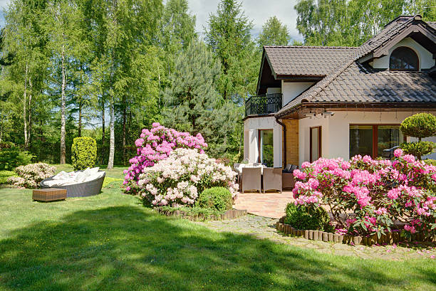 istock Garden full of flowers 585600086