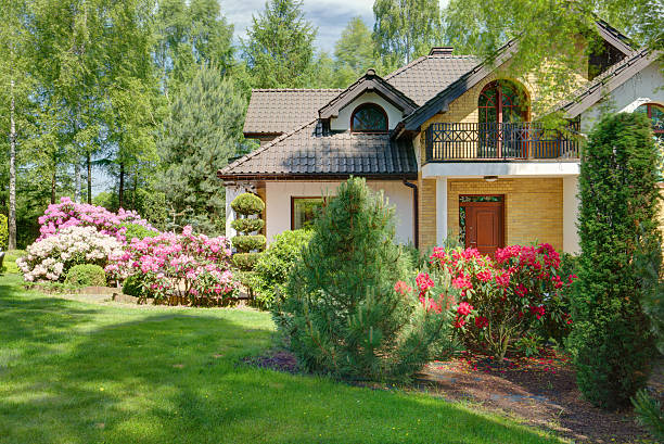istock Back yard of the house 585600276
