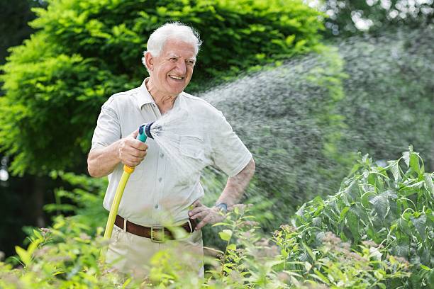 植物に水をやる庭師 - hobbyist ストックフォトと画像