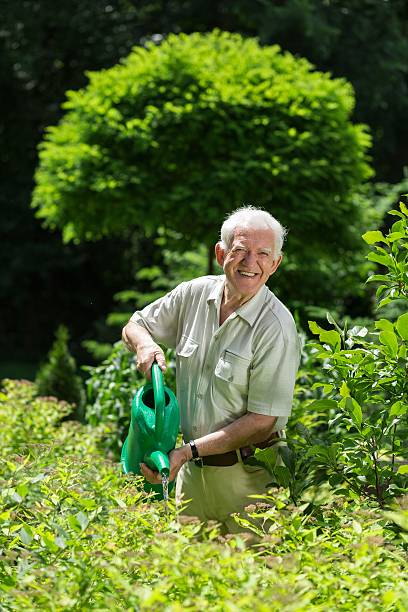 Gardener with a watering can Gardener with a watering can taking care of the plants hobbyist stock pictures, royalty-free photos & images