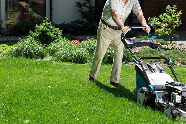 istock Man in his garden 585601960