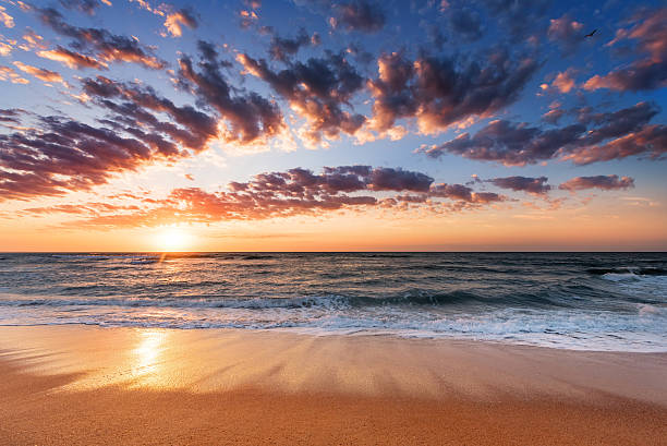 istock Landscape view of a atlantic ocean beach. 585602518