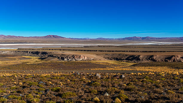 istock paso de jama, argentina chile, atacama desert 585602974