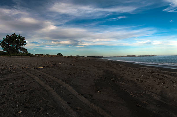 ニュージーランド南島カイコウラペケタビーチでの夕べ - marlborough region sunrise new zealand sea ストックフォトと画像