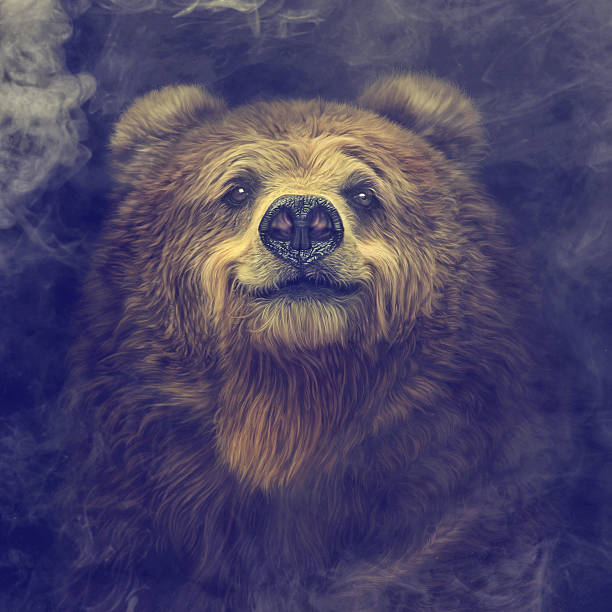istock Smiling brown bear in the smoke 585604900