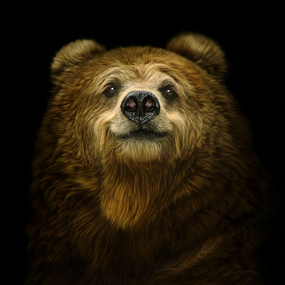 Smiling bear on a black background