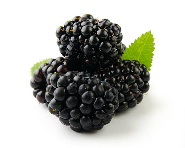 istock Blackberry with leaves isolated on white. 585608064