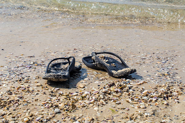 istock black flip flops on the beach, summer vacations 585608474