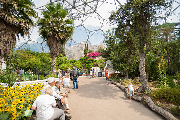 Cornwall, England - July 24, 2013: Eden Project visitors  observing the plants displays or seated resting up inside one of gaint domes Mediterranean Biome featuring plants from that region