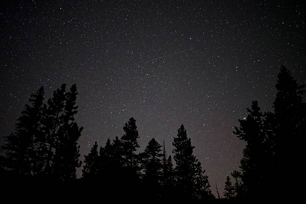 istock Shooting star in night sky over tree silhouettes. 585610642