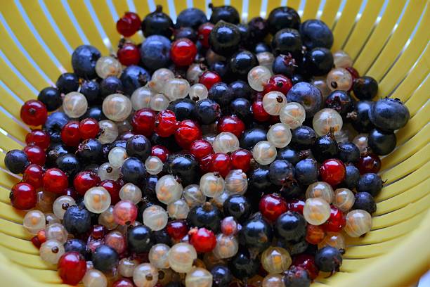 They are organic - these red currants - I know for sure, the are from my own garden!Other fresh fruit pictures from my portfolio: